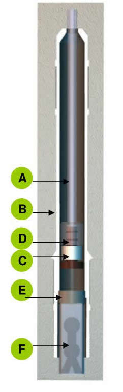 Coupe de l’asperseur Floppy Sprinkler montrant son tube souple et son régulateur de débit